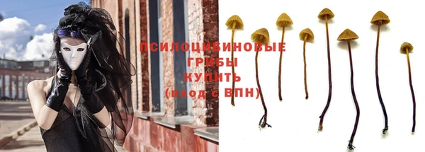 крисы Абинск